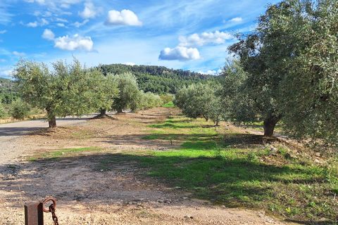 Finca i Tivissa, Tarragona, Tivissa - € 98 000 | Ref: CC833 - foto 15